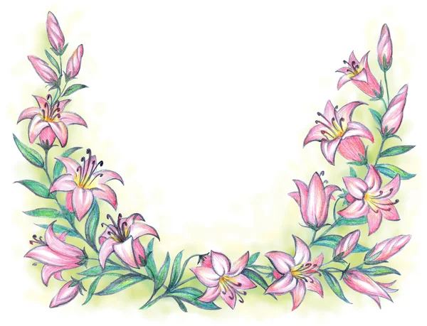 Delikatne różowe lilia. Rysunek ołówkiem — Zdjęcie stockowe