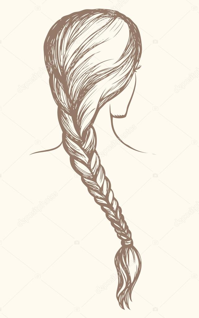 Long braid. Vector drawing