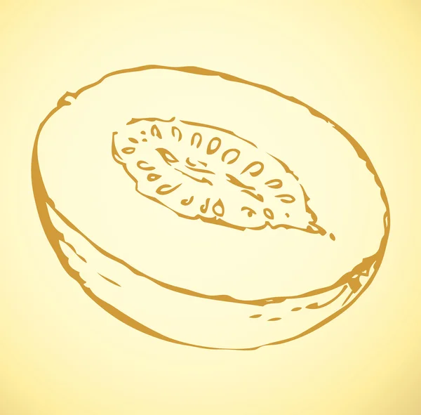 ᐈ Drawing of melon stock vectors, Royalty Free honeydew illustrations
