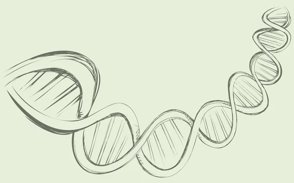 Ontwikkeling van de DNA-keten in — Stockvector