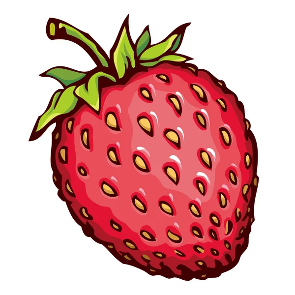 Erdbeere. Vektorzeichnung — Stockvektor