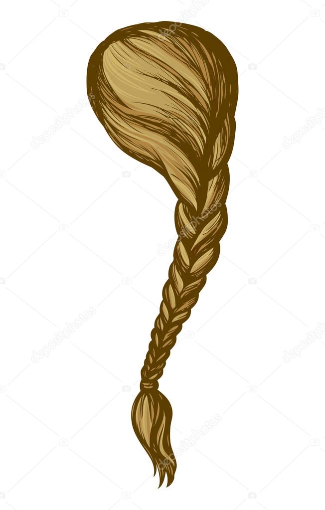 Long braid. Vector drawing