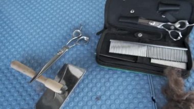 Hayvan bakım salonundaki köpek kılı kesiminden sonra profesyonel tımar aletleri. Makas, tasma, budayıcı, hayvan kürkü için tarak ve fırça..