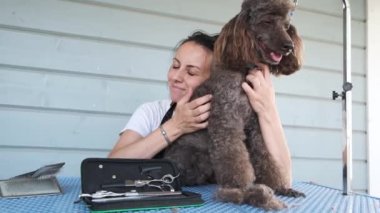 Neşeli, gülümseyen, profesyonel kadın tımarcı saç kesiminden sonra sevimli kahverengi kaniş köpeğinin yanında oturuyor. Hayvan bakım salonunda kesilen hayvan kılı. Küçük işletme sahibi kavramı.
