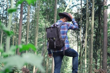 Yeşil ormanda duran keçeli şapka ve ekose gömlekli şık genç adam. Vahşi doğaya kaçmak. Macera hisleri ve seyahat tutkusu. 