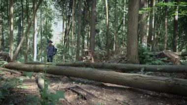 Yeşil orman boyunca yürüyen deri sırt çantalı keçeli şapka ve ekose gömlekli şık genç adam. Vahşi doğaya kaçmak. Macera hisleri ve seyahat tutkusu.