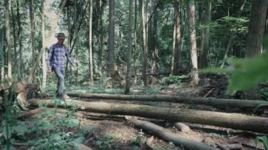 Keçeli şapka ve ekose gömlekli şık genç adam ormanda devrilmiş bir ağaç gövdesinde yürüyordu, dengeyi koruyordu. Macera hisleri ve seyahat tutkusu.