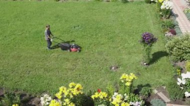 Motorlu çim biçme makinesini aşırı büyümüş arka bahçede iten erkek işçilerin hava manzarası. Çim biçme, bahçe işleri..