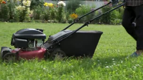 Tuiniersdienst Zijaanzicht Mannelijke Tuinman Maaien Gazon Met Gemotoriseerde Grasmaaier Zomer — Stockvideo