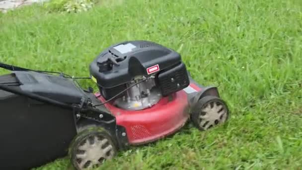 Servizio Giardinaggio Maschio Giardiniere Falciatrice Prato Con Tosaerba Motorizzato Nella — Video Stock