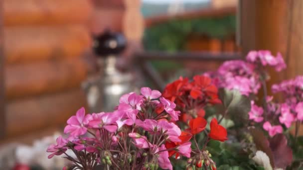 花からロシアンサモヴァールを蒸気で沸かし 上にティーポットを醸造することに焦点を当てます カントリーハウスのテラスでティーパーティー — ストック動画