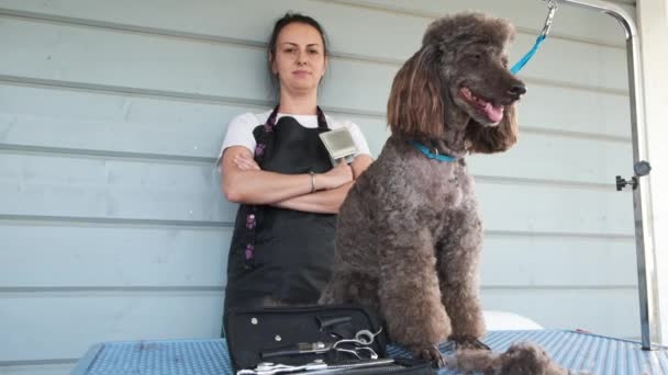 Small Business Owner Portrait Cheerful Smiling Professional Female Groomer Looking — Stock Video