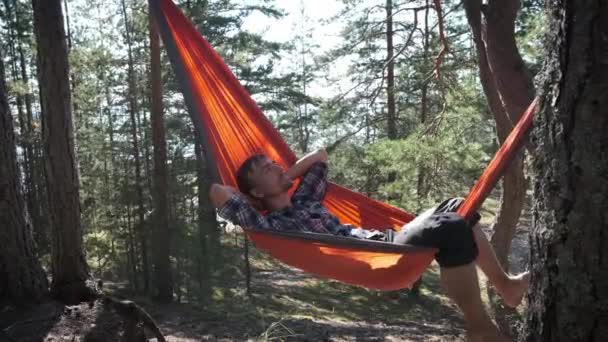 Cheerful Bearded Man Traveller Rests Alone Tourist Hammock Sunny Pine — Stock Video