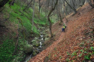 Baba ve oğul bahar ormanlarında yolda yürüyorlar. Deresi akan bir dağ geçidi, bir tarafı taze yeşillikle kaplı, diğer tarafı geçen yılın yapraklarından kırmızı. Doğada aktif bir aile. Çocukla yürüyüş macerası..