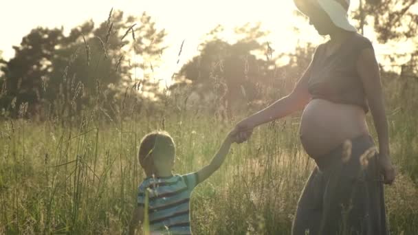 Fiul Mic Mama Însărcinată Plimbă Prin Natură Câmpul Verde Vară — Videoclip de stoc
