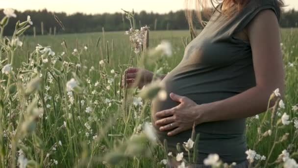 Cerca Mujer Embarazada Acariciando Vientre Naturaleza Chica Del Embarazo Aire — Vídeo de stock