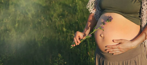 Banner Bauch Einer Schwangeren Frau Freien Auf Der Grünen Wiese Stockfoto