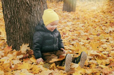 Sonbahar parkındaki büyük akçaağaç ağacının yanında oturan tatlı çocuk. Fotokopi alanı ile doğa afişini düşür.