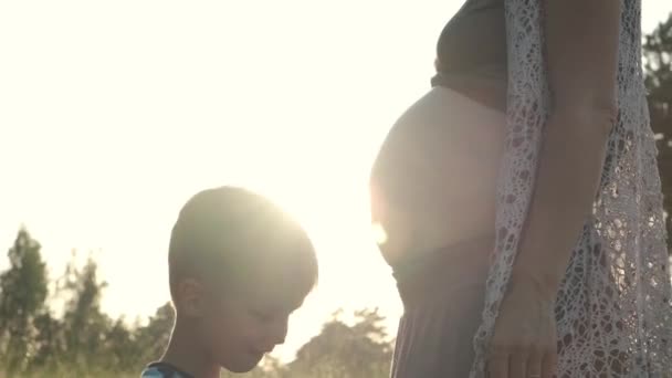 Kisgyerek Fiú Bátyja Csókolgatja Terhes Anya Hasát Természetben Terhes Szabadban — Stock videók