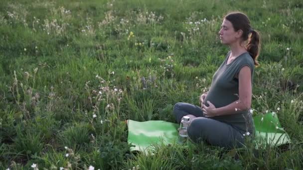 Zwangere Vrouw Die Ademhalingsoefeningen Meditatietechnieken Beoefent Terwijl Het Zomerveld Zit — Stockvideo