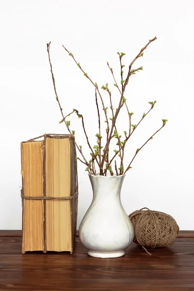 Alte Bücher, Vase mit Zweigen und Garn — Stockfoto