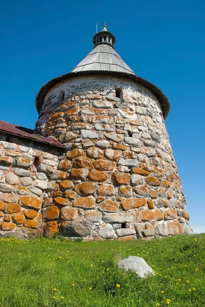 Старовинні фортеці-вежі — стокове фото