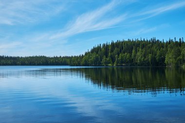 Sahil Beyaz Deniz. Peyzaj, doku, arkaplan, doğa
