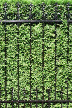 Bina çitinin bir kısmı bitkilerle kaplı. Dış mimari.