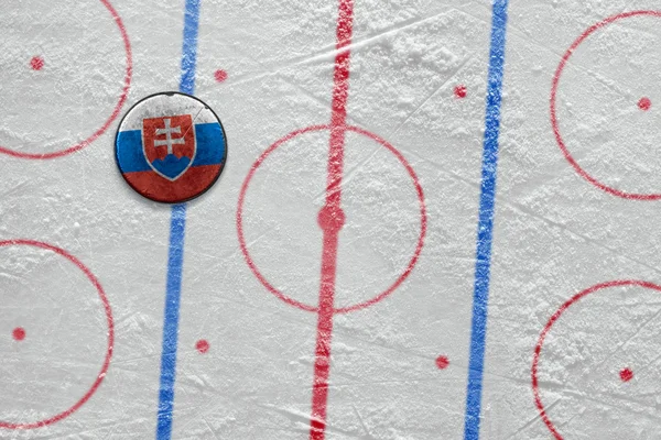 Slovak hockey puck on the site — Stock Photo, Image