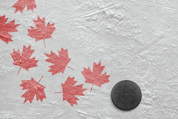 Hockey puck and maple leaves — Stock Photo, Image