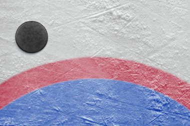 Goalmouth ve hokey diski