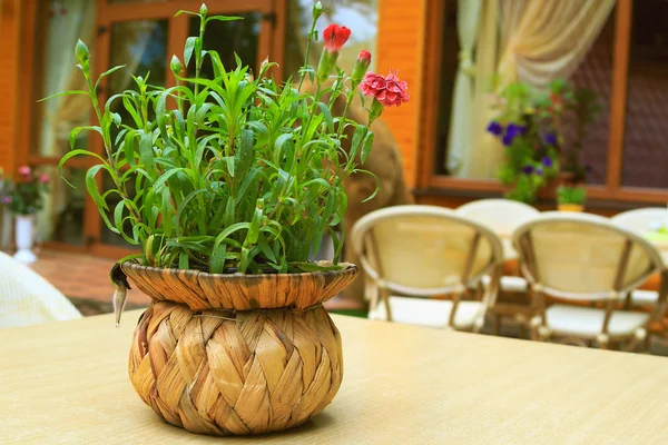 Vas med blommor på bordet Stockfoto