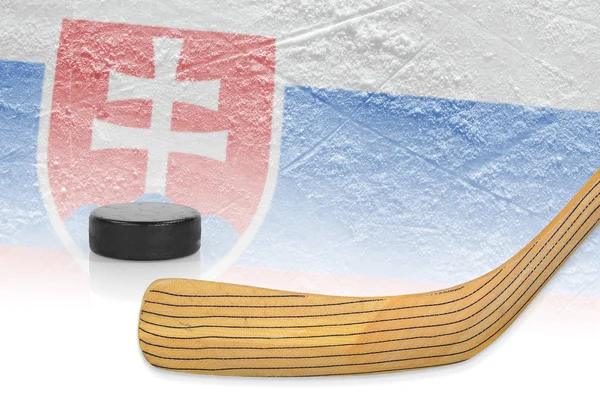 Stick, puck and hockey field — Stock Photo, Image