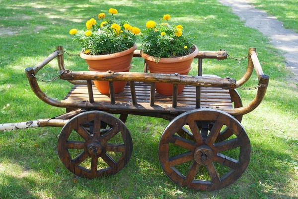 Rustic wagon with flowers — Stock Photo, Image