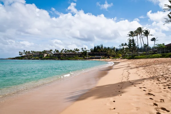 Partvonala Napili strandtól, Maui — Stock Fotó