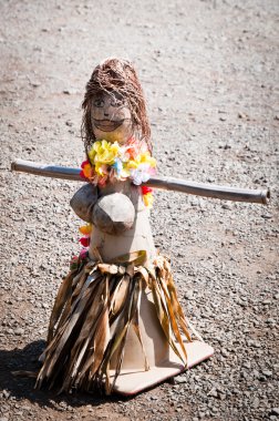 Hawaiian bebek traffc koni yapılan