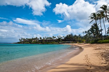 Napili beach Maui.