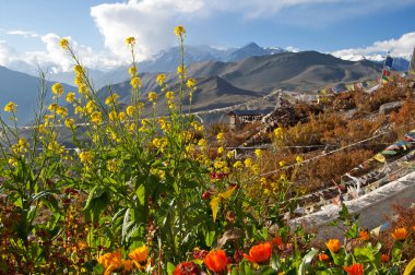 Muktinath distrint, Nepal, Annapurna trekking
