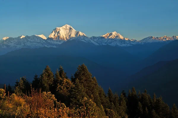 Vista panoramica della maestosa catena montuosa himalayana durante l'alba vista dal punto di vista di Poon Hill in Nepal — Foto Stock