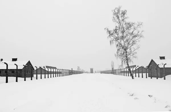 Auschwitz II Campo de concentración de Birkenau situado en el oeste de Cracovia, Polonia —  Fotos de Stock