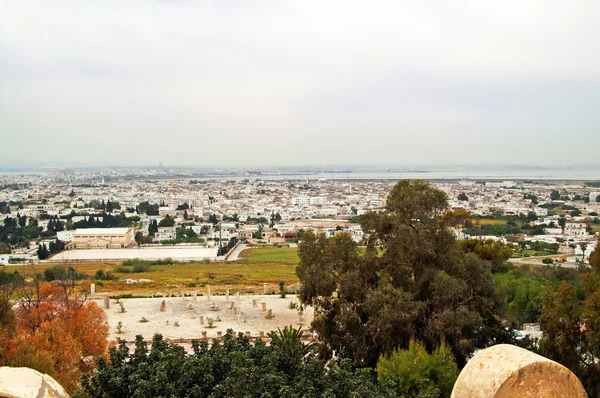 Het uitzicht vanaf de ruïnes van de kathedraal van Saint Louis van Carthago en de stad Cartage, Tunesië — Stockfoto