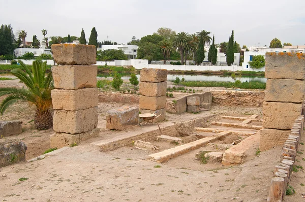 Ruiny wojskowego portu w Kartaginie, Tunezja — Zdjęcie stockowe