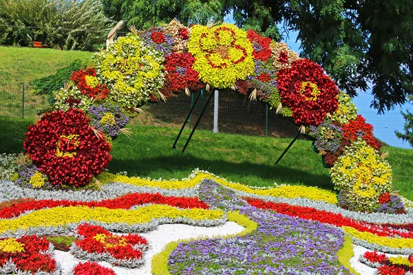 Anual tradicional 59 exposição de flores "Um país" cronometrado para o Dia da Independência, comemorado em 24 de agosto em Kiev, Ucrânia — Fotografia de Stock