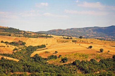 Yunanistan ekili alanlar