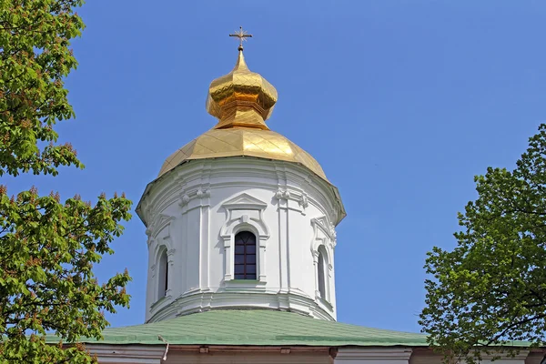 Koepels van de kathedraal van Sint-Michael van Vydoebytsji klooster, Kiev, Oekraïne — Stockfoto