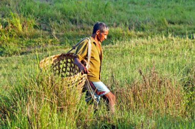Nepal erkekler Chitwan Milli Parkı, Nepal, geleneksel şekilde büyük sepet içinde şeyler taşımak