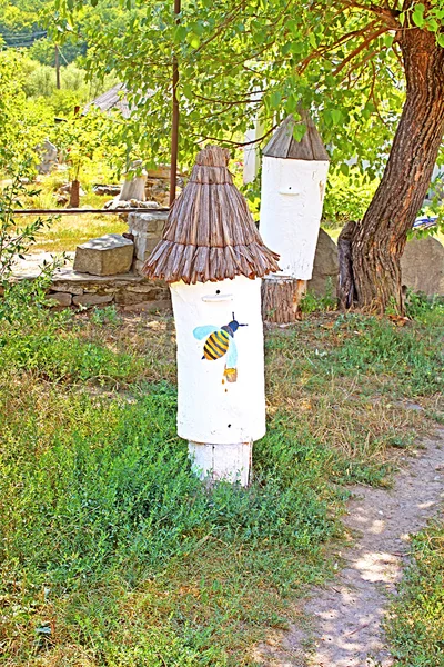 歴史的にアンティークのハチの巣と文化保護区"Busha"、ウクライナのヴィーンヌィツャ地域 — ストック写真