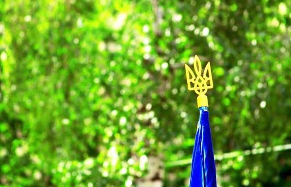 Tridente (escudo de armas ucraniano nacional) en la parte superior de la bandera de Ucrania sobre el follaje de primavera verde — Foto de Stock