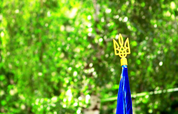 Trident (national ukrainian coat of arms) on the top of the Ukrainian flag over green spring foliage