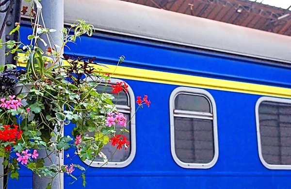 Flores na plataforma na estação ferroviária, Lviv, Ucrânia — Fotografia de Stock